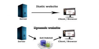 dynamic vs static website, dynamic website and static website