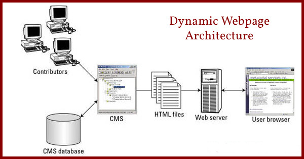An architecture showing how a dynamic web page works