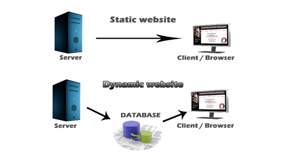 static website vs. a dynamic website
