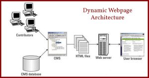 dynamic website, dynamic websites, advantages of a dynamic website, disadvantages of a dynamic website