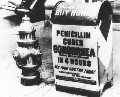 One of the greatest scientific inventions of all time: Penicillin