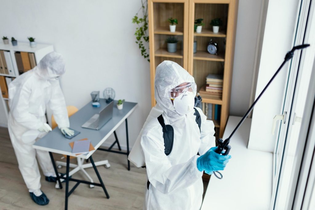 pest control professionals exterminating pests from a residential space